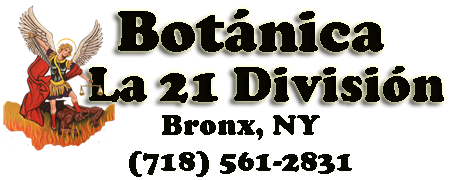 la21divisionbotanica.com
