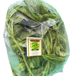 Albahaca