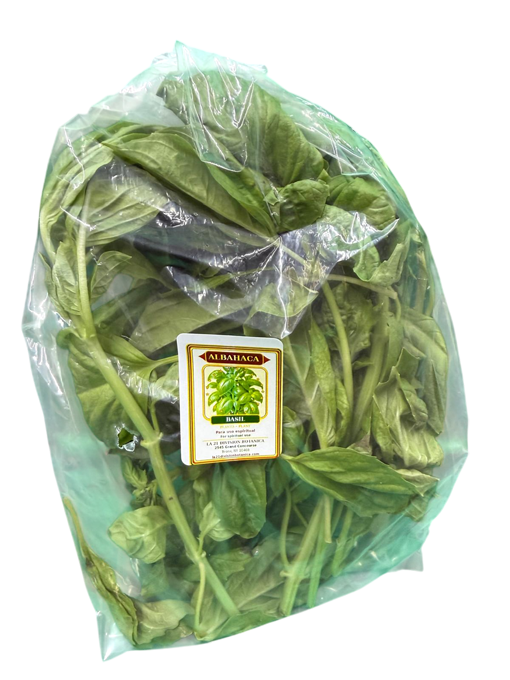 Albahaca