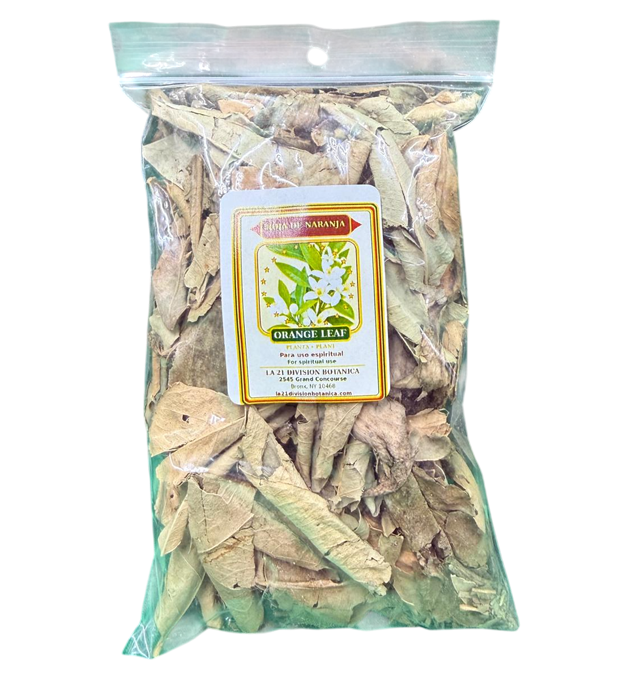 Hoja de Naranja